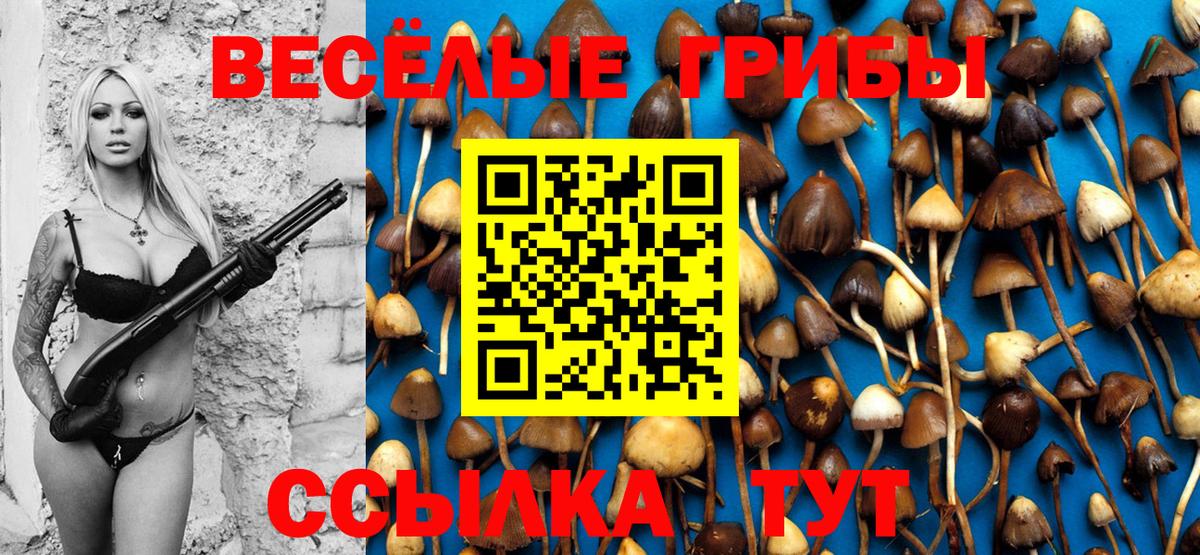 Галлюциногенные грибы ЛСД  хочу   Псилоцибиновые грибы прущие грибы  Железноводск  Вход с VPN 