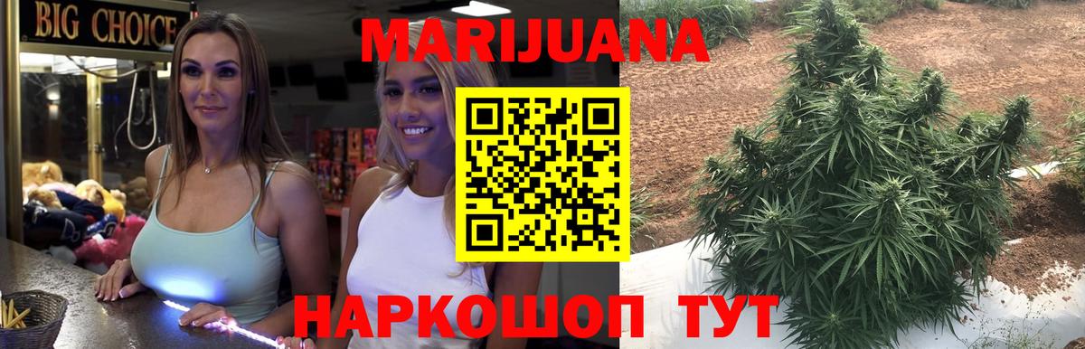 Конопля конопля Железноводск